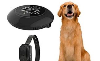 best wireless invisible fence for dogs