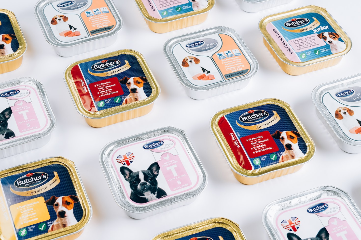 How Much Wet Food Should You Feed A Dog? • Petnile